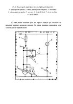 Referāts 'Automobiļu apsardze', 31.