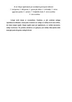 Referāts 'Automobiļu apsardze', 32.