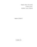 Prakses atskaite 'Mazumtirdzniecības uzņēmums', 1.