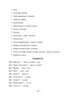 Prakses atskaite 'Mazumtirdzniecības uzņēmums', 16.