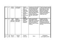 Prakses atskaite 'Prakses atskaite par aktīvo mācību praksi sākumskolā', 16.