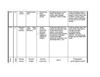 Prakses atskaite 'Prakses atskaite par aktīvo mācību praksi sākumskolā', 20.