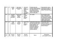 Prakses atskaite 'Prakses atskaite par aktīvo mācību praksi sākumskolā', 34.