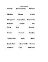 Prakses atskaite 'Prakses atskaite par aktīvo mācību praksi sākumskolā', 48.