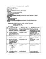 Prakses atskaite 'Prakses atskaite par aktīvo mācību praksi sākumskolā', 55.