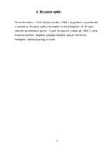 Referāts 'Meksika', 11.