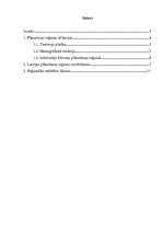 Referāts 'Pašvaldību darba organizācija un plānošana', 1.