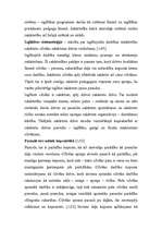 Referāts 'Atslēgvārdi un to pedagoģiskais skaidrojums A. Broka darbā “Izglītības sistemolo', 4.