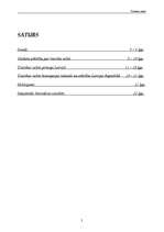 Referāts 'Tiesiska valsts', 2.