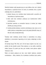 Referāts 'Tiesiska valsts', 19.