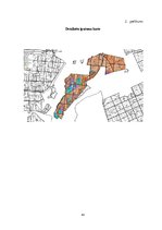 Referāts 'Meža apsaimniekošanas plāns', 45.