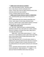 Konspekts 'Traumatisms handbolā', 12.