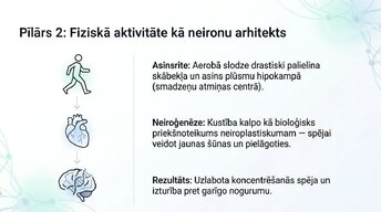 Prezentācija 'Veselīgu rutīnu ietekme uz fokusu un kognitīvo produktivitāti', 7.