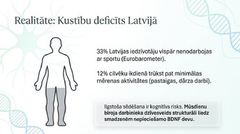 Prezentācija 'Veselīgu rutīnu ietekme uz fokusu un kognitīvo produktivitāti', 9.