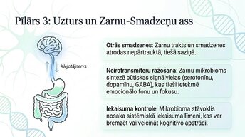 Prezentācija 'Veselīgu rutīnu ietekme uz fokusu un kognitīvo produktivitāti', 10.