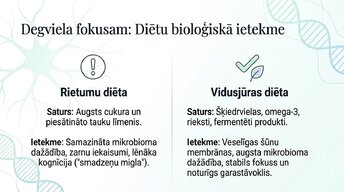Prezentācija 'Veselīgu rutīnu ietekme uz fokusu un kognitīvo produktivitāti', 11.