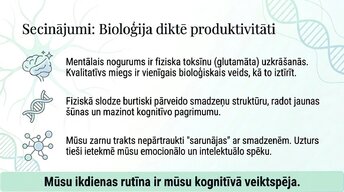 Prezentācija 'Veselīgu rutīnu ietekme uz fokusu un kognitīvo produktivitāti', 13.
