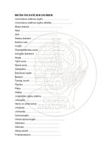 E-grāmata 'Cilvēka anatomija: audi un šūnas', 13.