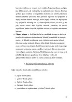 Referāts 'Uzņēmuma finanšu plāns, tā sastāvdaļas un izstrādes kārtība', 12.