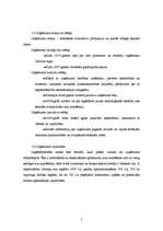 Biznesa plāns 'Biznesa plāns', 2.