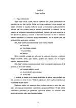 Biznesa plāns 'Biznesa plāns', 4.