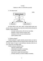 Biznesa plāns 'Biznesa plāns', 10.