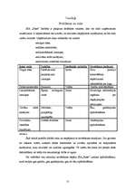 Biznesa plāns 'Biznesa plāns', 13.