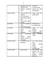 Referāts 'Transporta pārvadājumi', 14.