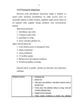 Referāts 'Transporta pārvadājumi', 15.