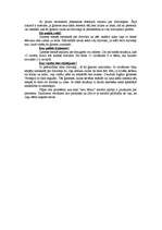 Referāts 'Ielu bērni', 5.