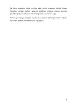 Referāts 'Akciju sabiedrības "Brīvais vilnis" novērtējums', 6.