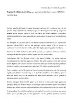 Referāts 'Akciju sabiedrības "Brīvais vilnis" novērtējums', 17.