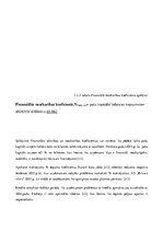 Referāts 'Akciju sabiedrības "Brīvais vilnis" novērtējums', 20.