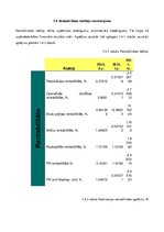 Referāts 'Akciju sabiedrības "Brīvais vilnis" novērtējums', 25.