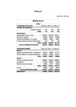 Referāts 'Akciju sabiedrības "Brīvais vilnis" novērtējums', 33.