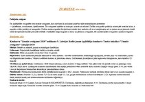 Paraugs 'Zvaigzne stilu lokos', 1.