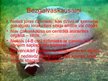 Prezentācija 'Hordaiņu tipa raksturojums', 6.