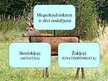 Prezentācija 'Hordaiņu tipa raksturojums', 8.