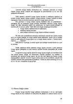 Referāts 'Līzinga operācijas', 28.