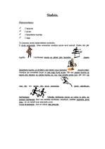 Konspekts 'Stafete', 1.