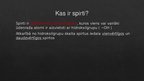Prezentācija 'Spirti', 2.