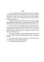 Referāts 'Organizācijas kultūras tipi, tā noteikšana, raksturojums un izpausmes organizāci', 3.