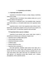 Referāts 'Organizācijas kultūras tipi, tā noteikšana, raksturojums un izpausmes organizāci', 4.