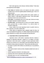 Referāts 'Organizācijas kultūras tipi, tā noteikšana, raksturojums un izpausmes organizāci', 5.