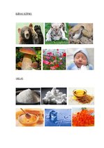 Konspekts 'Lietvārds', 2.