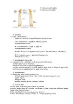 Konspekts 'Atbildes anatomijas eksāmena sagatavošanai', 5.