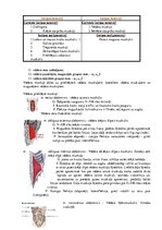 Konspekts 'Atbildes anatomijas eksāmena sagatavošanai', 10.