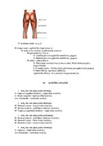 Konspekts 'Atbildes anatomijas eksāmena sagatavošanai', 15.