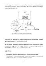Referāts 'Paracetamola metabolisms', 9.