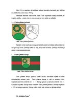 Referāts 'Maršruts - Talsi, Talsu novads, Dundagas novads un Usma', 9.